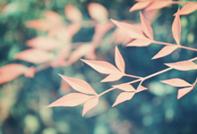 關于MDR法規2017/745：主要變化是什么？